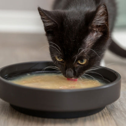 Trixie Kittis Salmon Soup - Trixie Bild 4