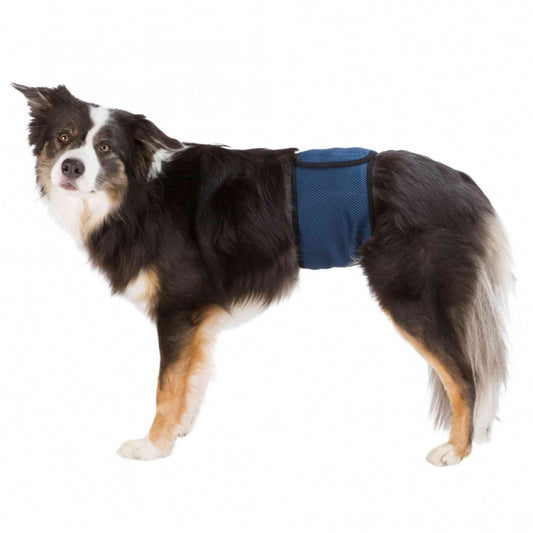 Trixie Windeln für Rüden, waschbar - L / 55-65 cm - Trixie
