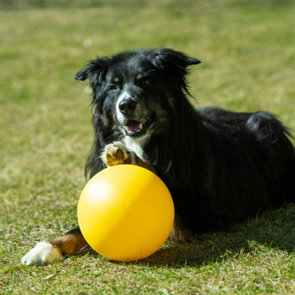 PROCYON Treibball Größe S - PROCYON