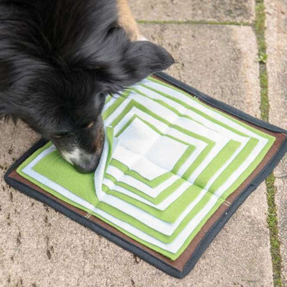 PROCYON Schnüffelpyramide - PROCYON Bild 2