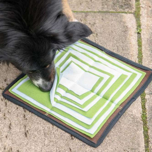 PROCYON Schnüffelpyramide - PROCYON Bild 2