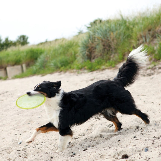 Trixie TPR Dog Disc, schwimmfähig - Trixie