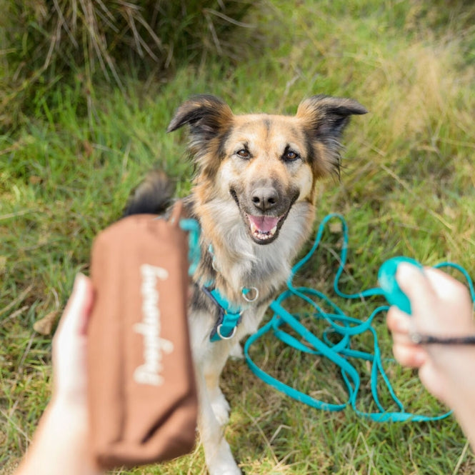 Trixie Preydummy - Trixie