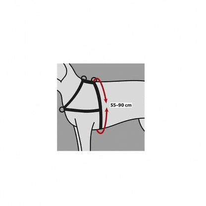 Trixie Trainingsgeschirr Lead'n'Walk Soft - Trixie